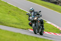 Oulton-Park-21st-March-2020;PJ-Motorsport-Photography-2020;anglesey;brands-hatch;cadwell-park;croft;donington-park;enduro-digital-images;event-digital-images;eventdigitalimages;mallory;no-limits;oulton-park;peter-wileman-photography;racing-digital-images;silverstone;snetterton;trackday-digital-images;trackday-photos;vmcc-banbury-run;welsh-2-day-enduro